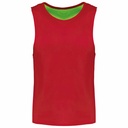 Peto reversible infantil
